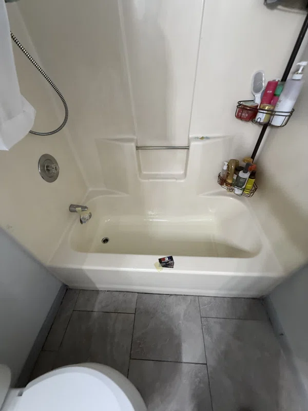 Light-colored bathtub and molded surround with a handheld shower.